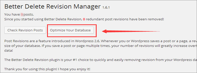 Post Revisions - Optimize Your Database