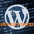 Common WordPress Security Issues with Large Potential Dangers