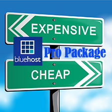 BlueHost Pro Plan Review – Better Than Cheap VPS