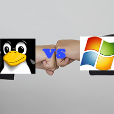 Linux Hosting VS Windows Hosting – Requirement Driven Choice