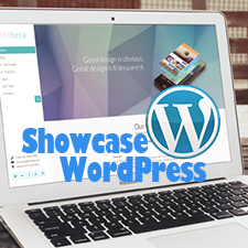 Top 10+ Product Showcase WordPress Themes