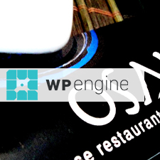 WPEngine Review