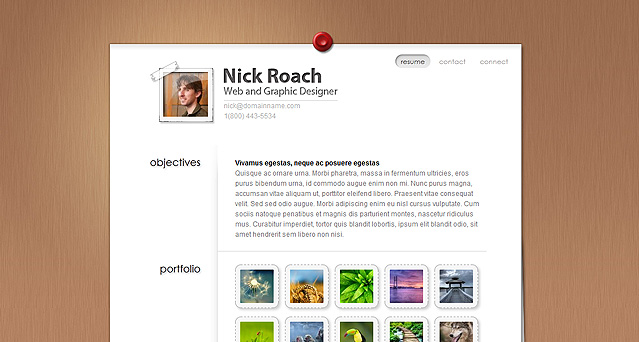 WordPress Theme