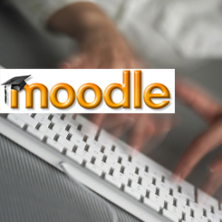 Best Moodle Hosting That Are Reliable and Fast