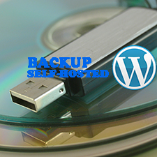 How to Backup a Self-Hosted WordPress Site?