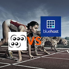 WebFaction VS BlueHost – Which Company Is the Better Choice for Medium Sized Business Sites?