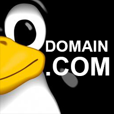 Domain.com Review on Linux Web Hosting Service