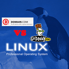 Domain.com VS GoDaddy on Linux Shared Hosting Performance