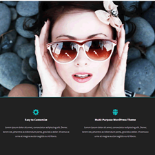 Highly Customizable WordPress Themes with Unlimited Customization Possibilities
