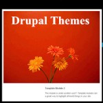 Best Drupal Themes with Simple Options Panel & Rich Features