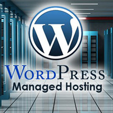 Best Managed WordPress Hosting Offering a High Level of Security & Performance