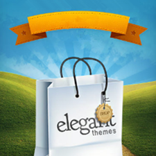 Elegant Themes Review – Comprehensive Review on the WordPress Themes