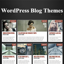Best Premium and Responsive WordPress Blog Themes