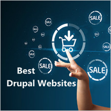The Best Drupal eCommerce Sites That Set Example for Shopping Site