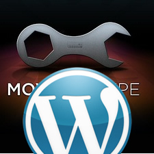 Movable Type VS WordPress on Blogging Usability & Customizability