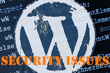 Common WordPress Security Issues with Large Potential Dangers