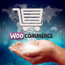 WooCommerce Review on Ease of Use, Customization & More