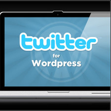 Best Twitter Plugins for WordPress Sites