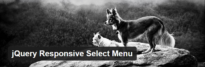 Top 10 WordPress Menu Plugins - jQuery Responsive Select Menu