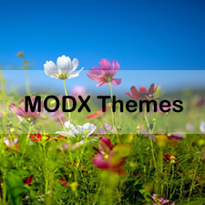 A Collection of the Best MODX Themes That Are Beautifully Designed
