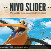 views nivo slider