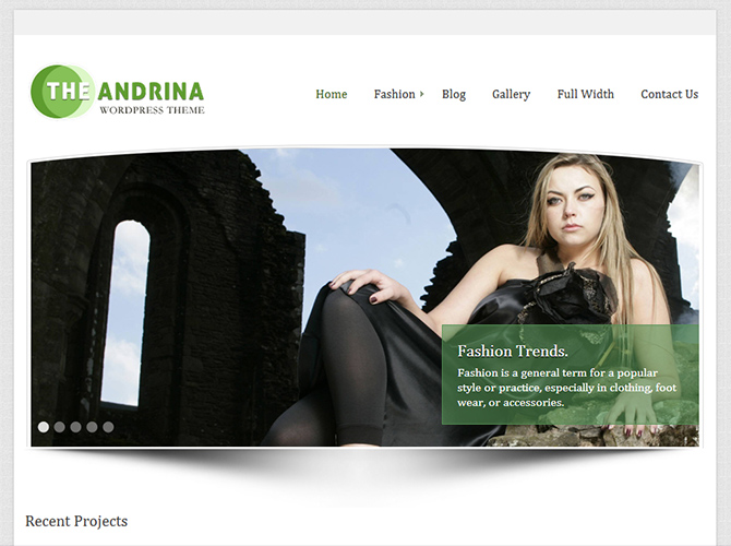 WordPress Fashion Theme - Andrina