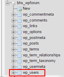 wp user table