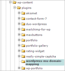 install wordpress mu domain mapping plugin