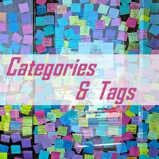Beginner’s Guide – How to Use Categories and Tags in WordPress