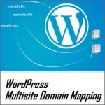 Beginner’s Guide to WordPress Multisite Domain Mapping