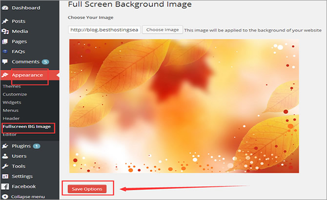 Full Screen Background Image - Take View of Your Image