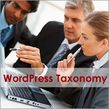 A Beginners’ Guide to WordPress Taxonomy – What Is It & How to Create a Custom One
